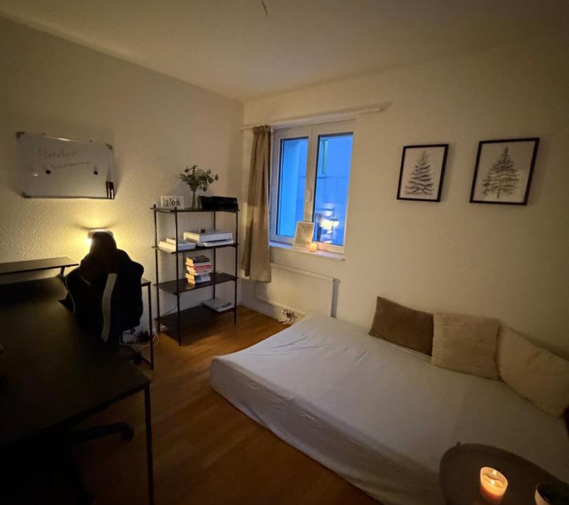 Rorschach Apartment | Moderne 4-Zimmer Wohnung nahe Bodensee mit Balkon