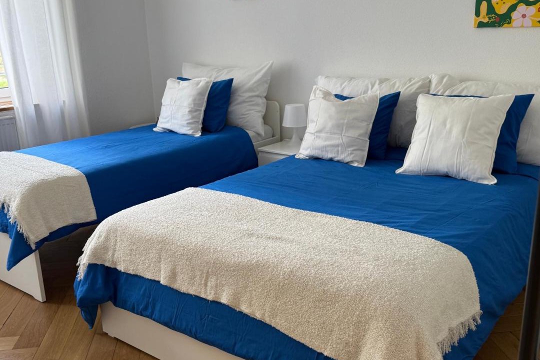 Matthaus House | Baselstad Public Transport Included 10 min Tram to Messe & City Center