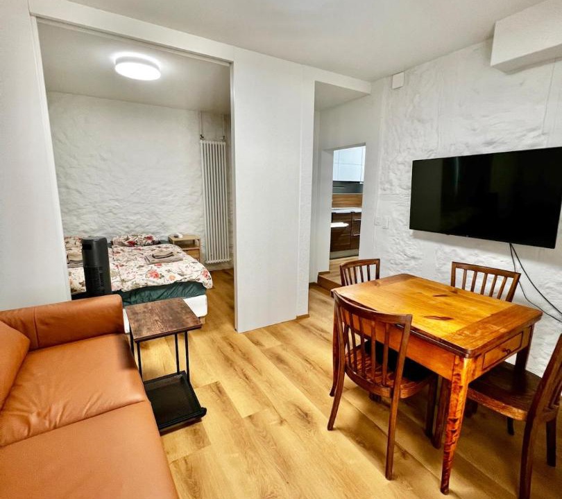 Horgen District Apartment | 4 mins walk Thalwil Station, Free Parking, Historical