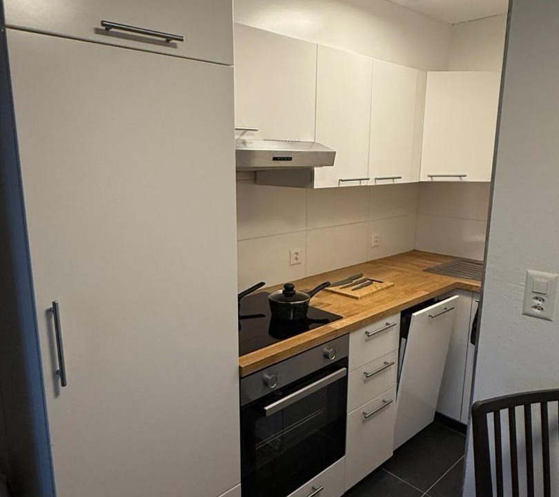 Unterageri Apartment | 1 room apartment in Canton Zug