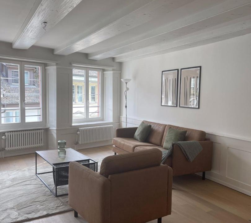 Schaffhausen Apartment | The R Apartment Bodensee - Old Town