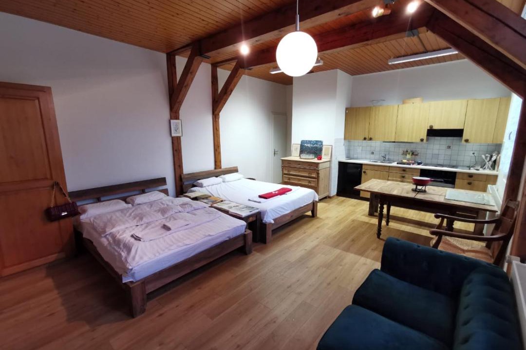 Burgdorf Apartment | Simple Studio 36m2 in the Center of Burgdorf private Parking SMALL BATHROOM