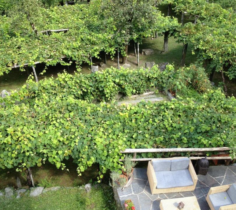 Coglio House | Pensione Boschetto
