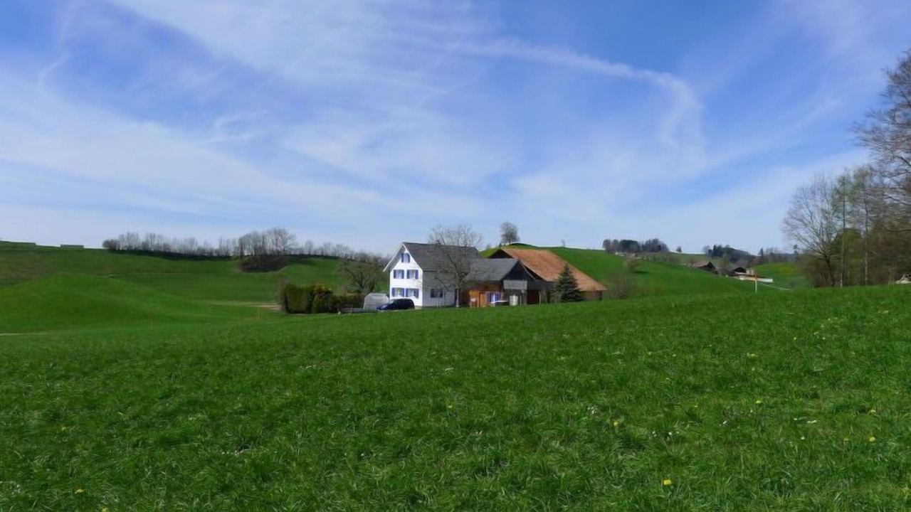 Photo of Others in Horgen District