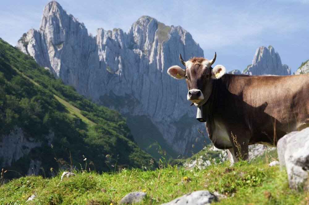 Photo of Others in Saas-Balen