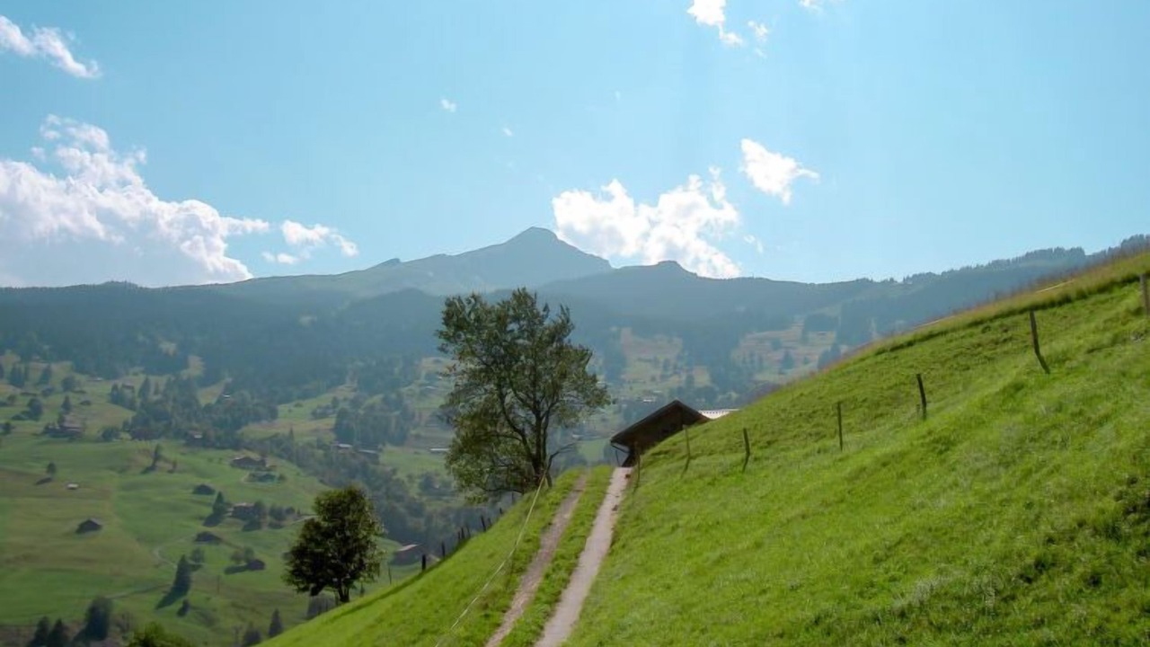 Photo of Others in Grindelwald