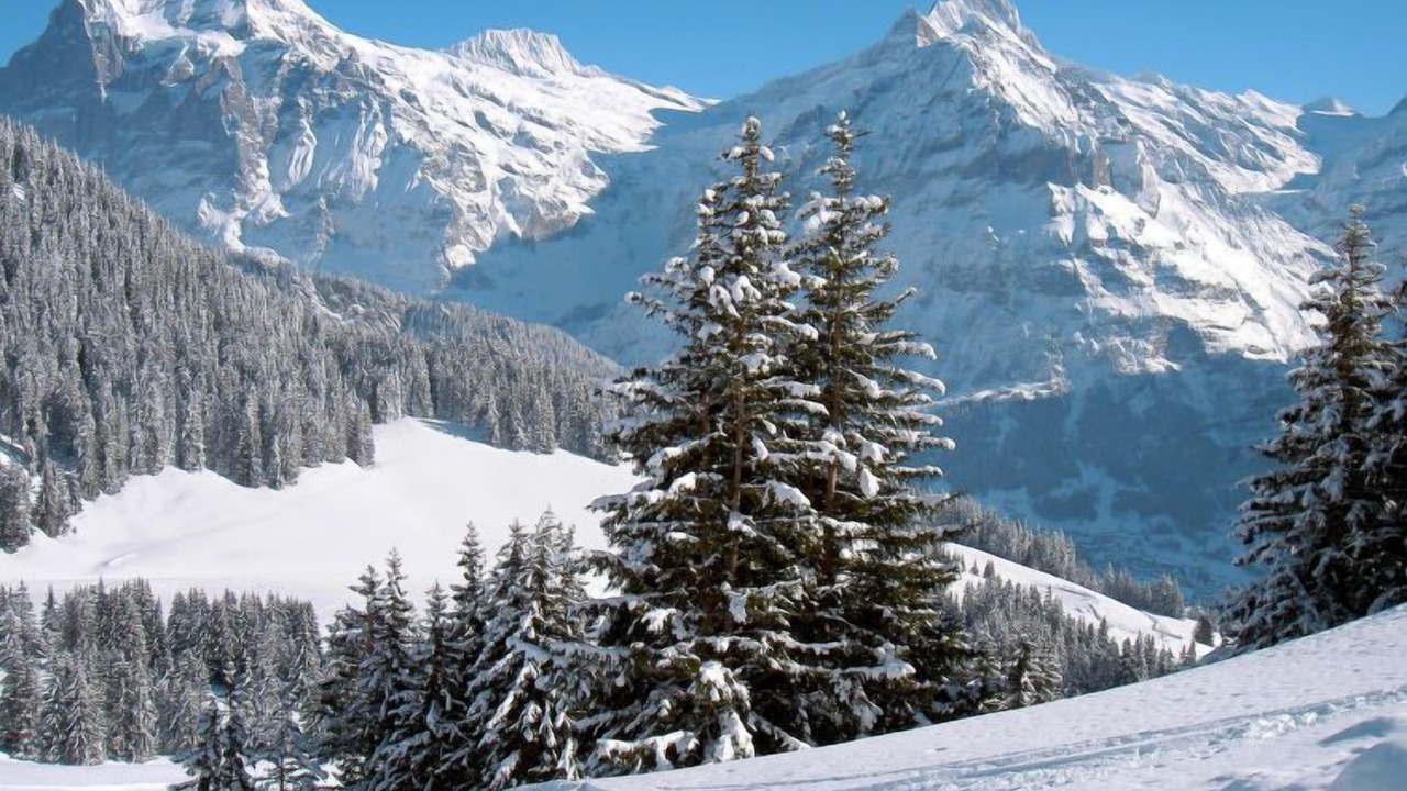 Photo of Others in Grindelwald
