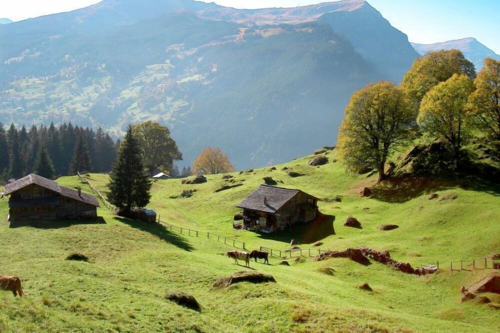 Photo of Outdoor in Grindelwald