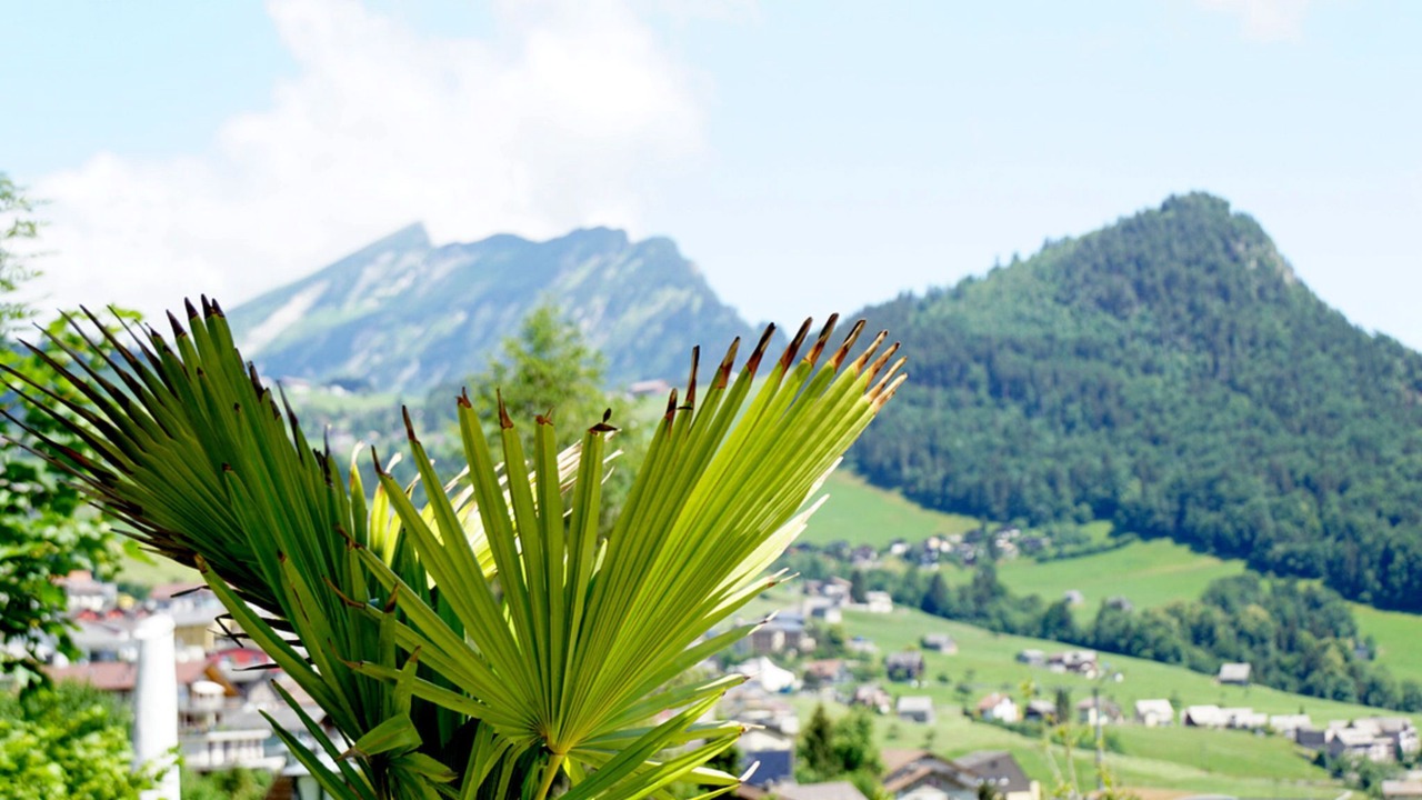 Photo of Others in Amden
