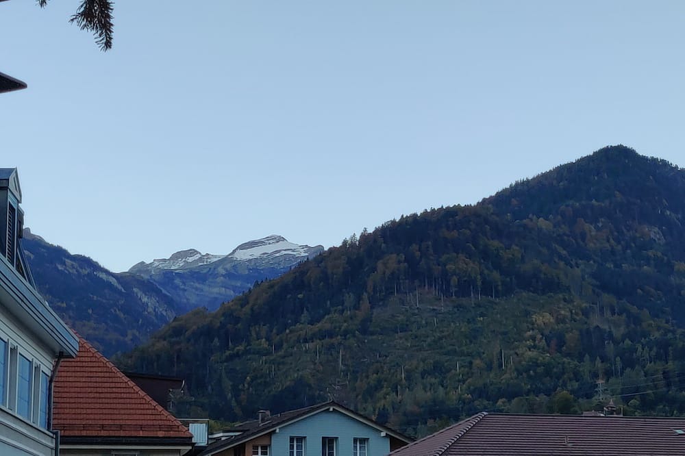 Photo of Others in Central Interlaken
