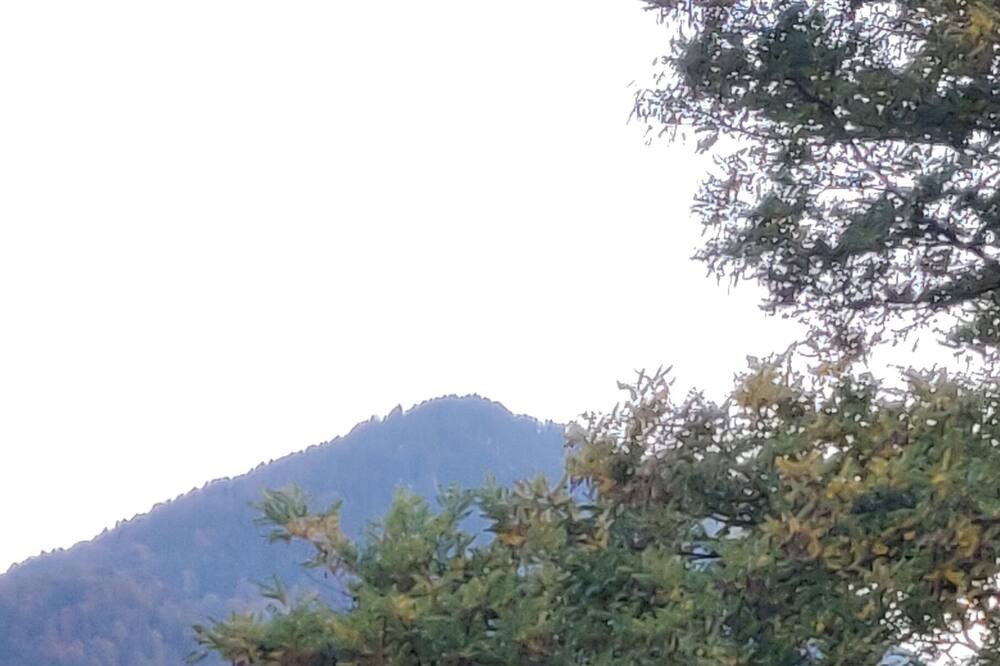 Photo of Others in Central Interlaken