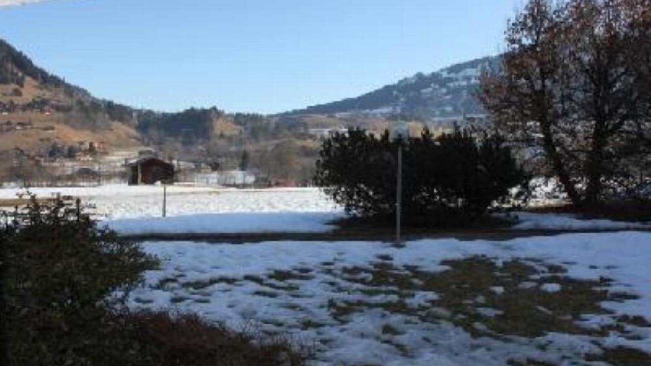 Photo of Others in Saanen