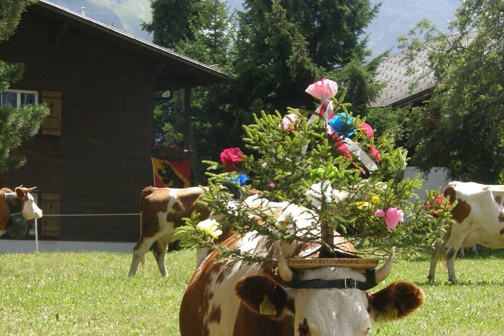 Photo of Others in Murren
