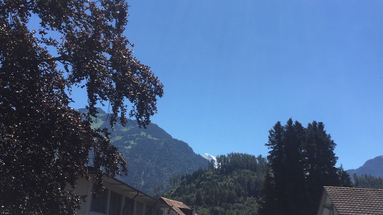 Photo of Others in Central Interlaken
