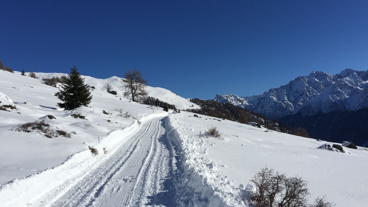 Photo of Others in Guarda