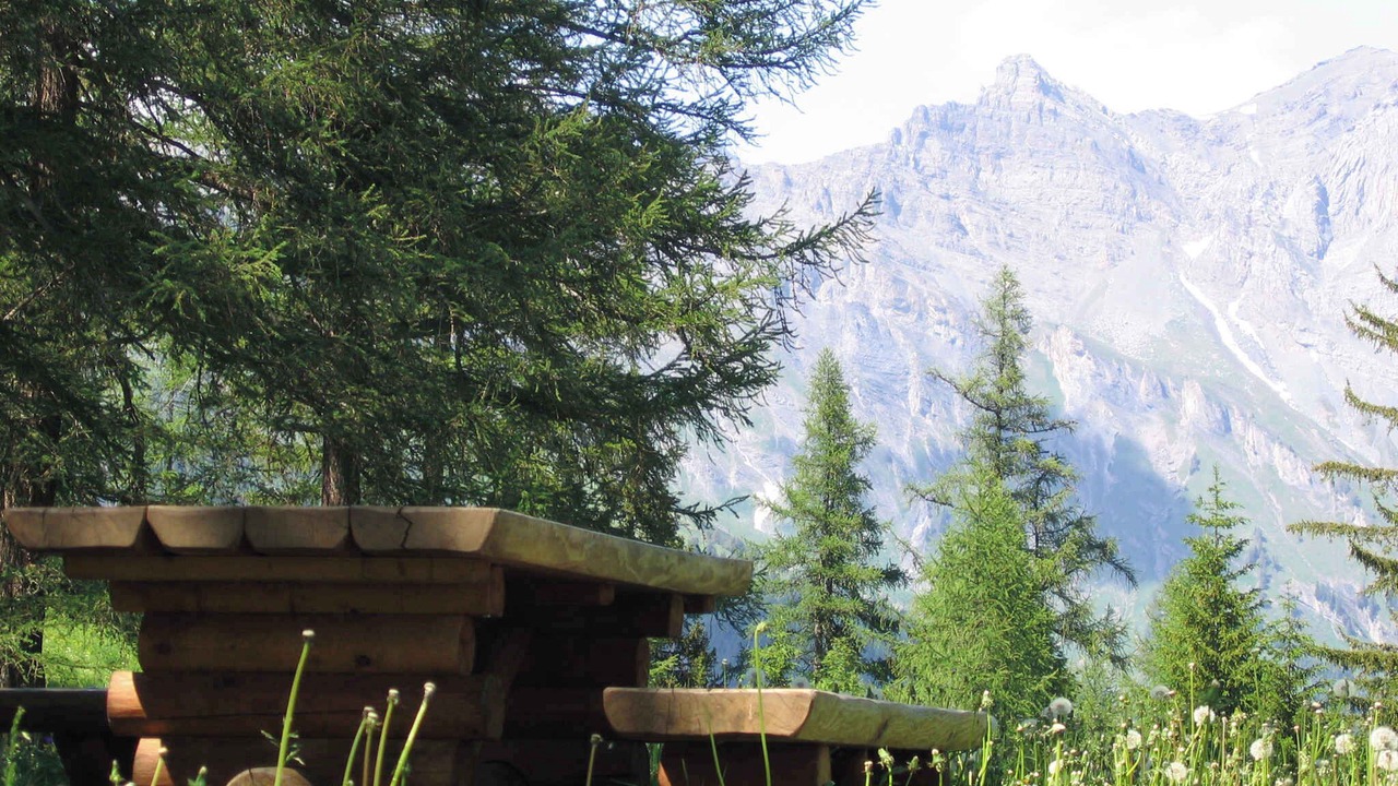 Photo of Outdoor in Ovronnaz