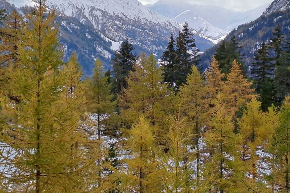 Photo of Others in Champex-Lac