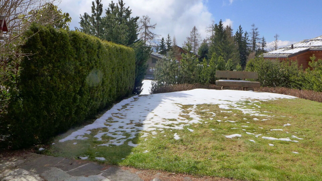 Photo of Outdoor in Lens