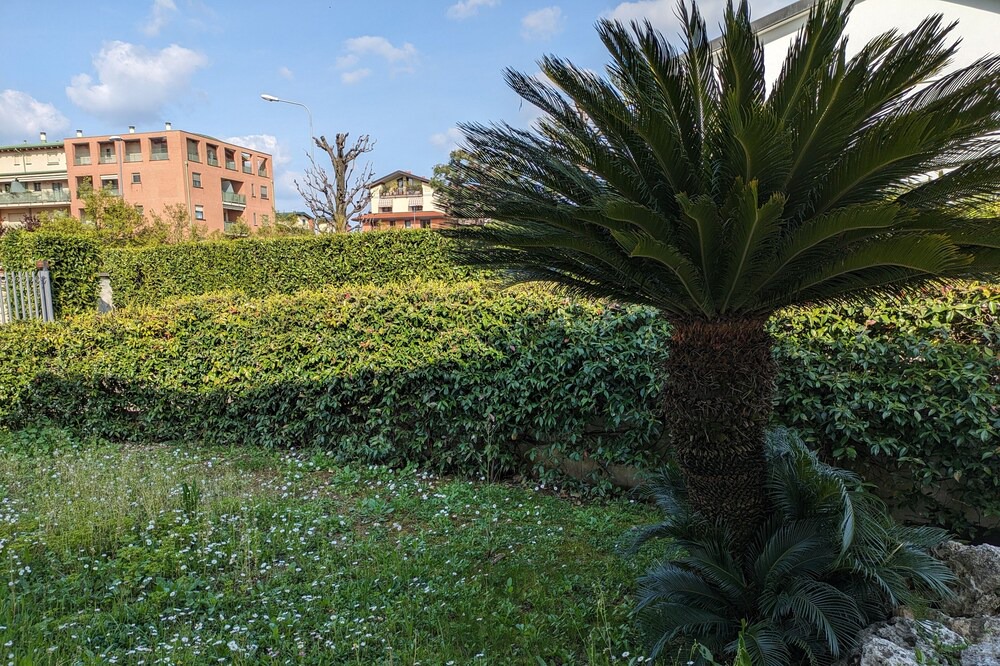 Photo of Outdoor in Dalmine