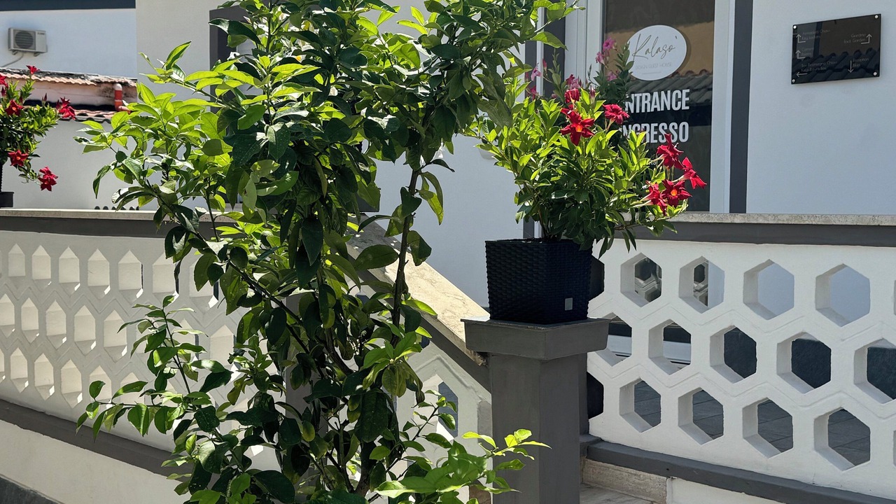 Photo of Outdoor in Fiumicino