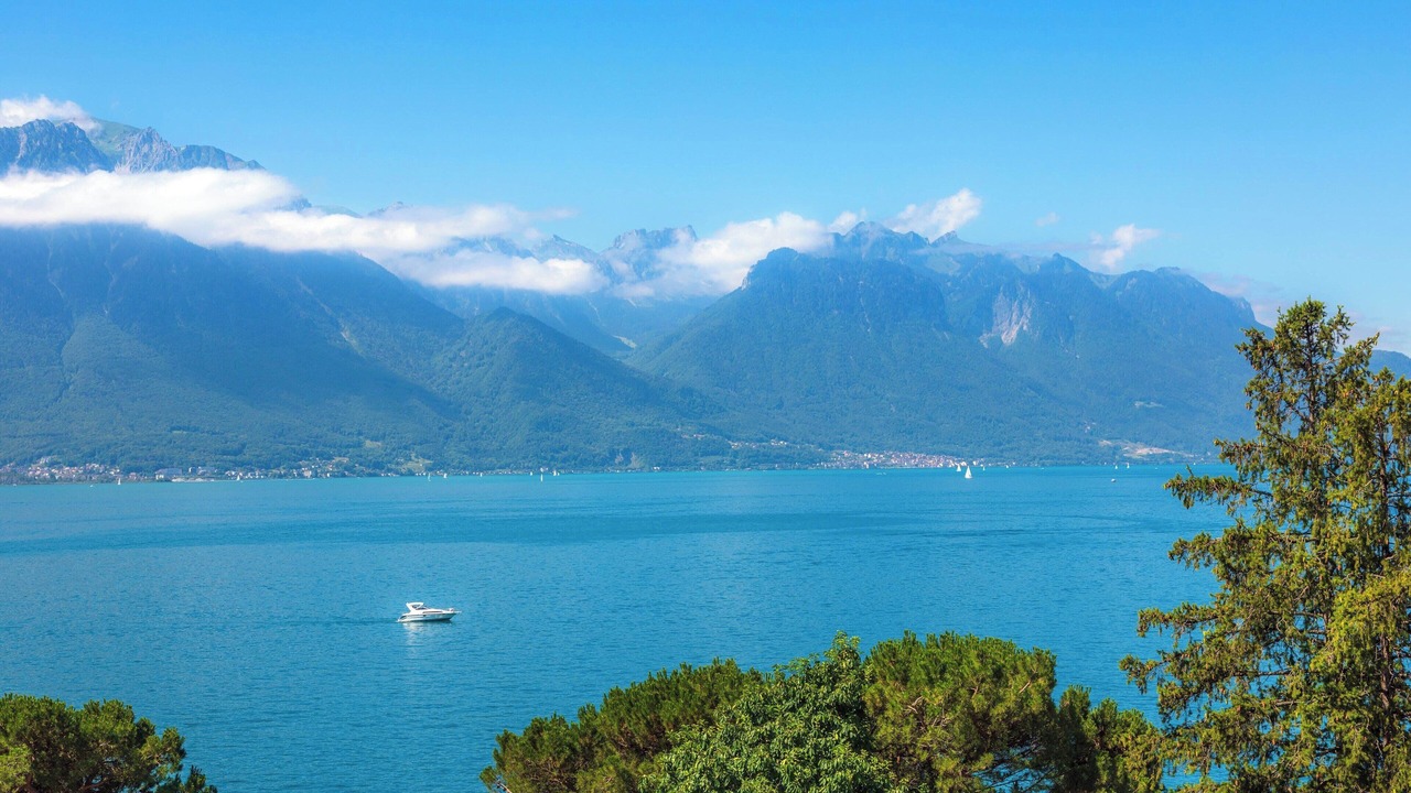 Photo of Patio Balcony in Montreux City Centre