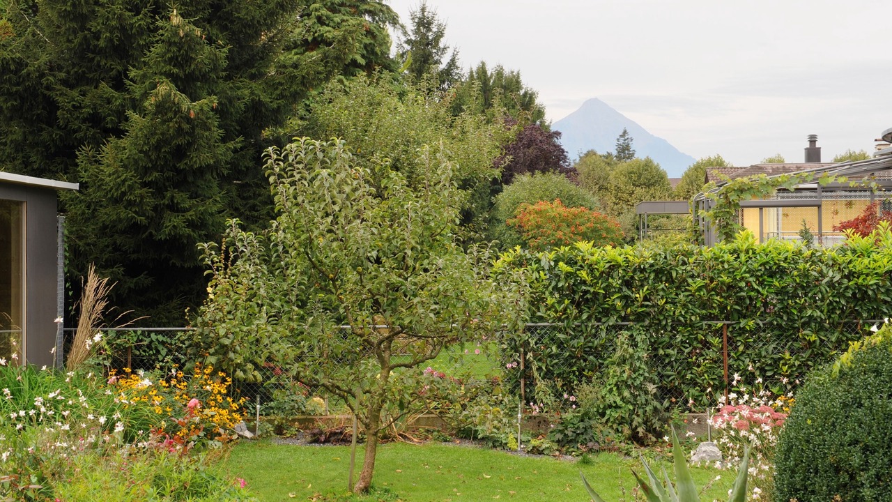 Photo of Outdoor in Central Interlaken