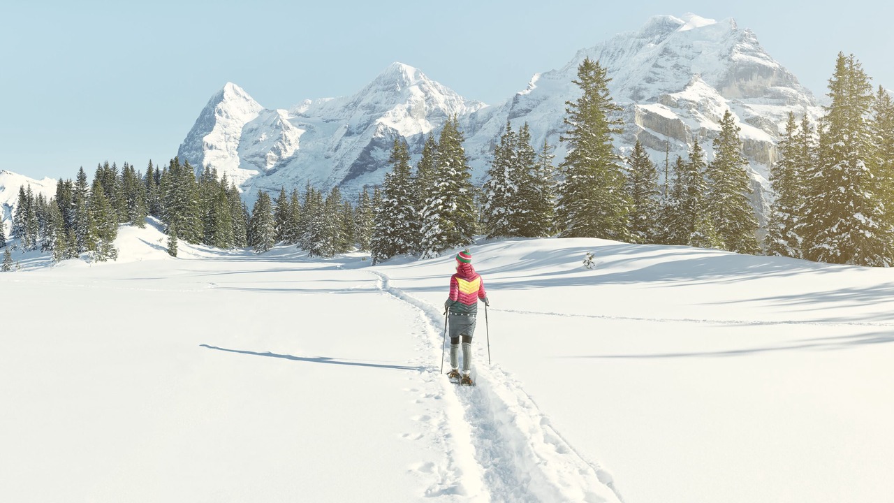 Photo of Others in Central Interlaken