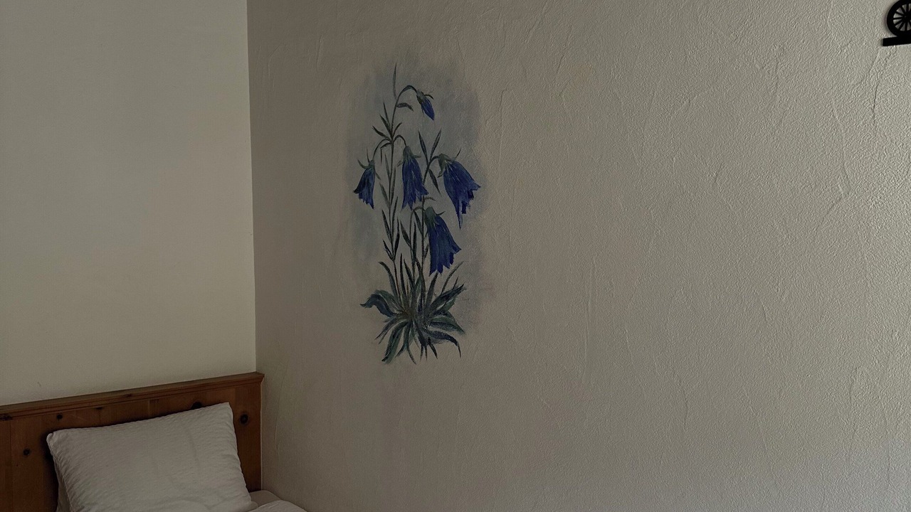 Photo of Bedroom in Zernez