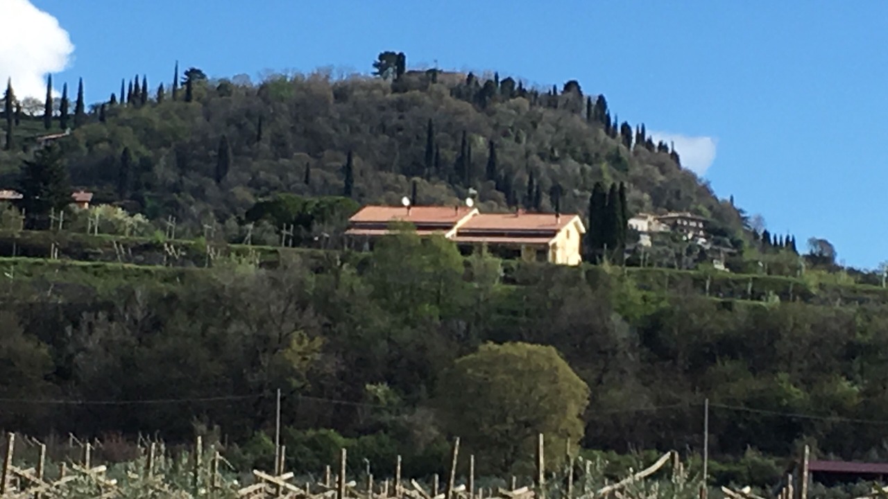 Photo of Others in Cavaion Veronese