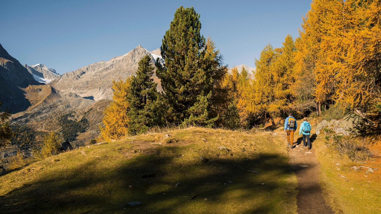 Photo of Others in Fiesch