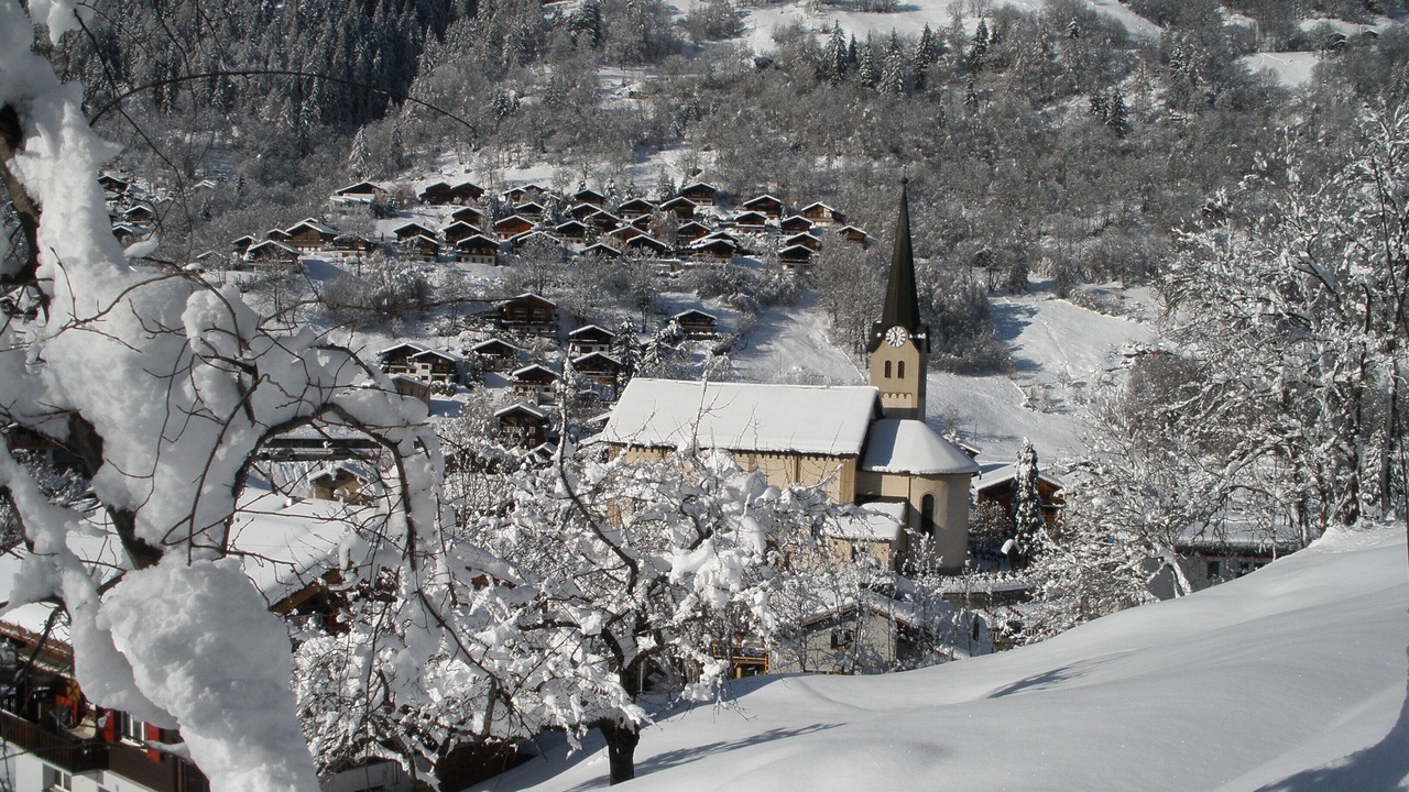 Photo of Others in Fiesch