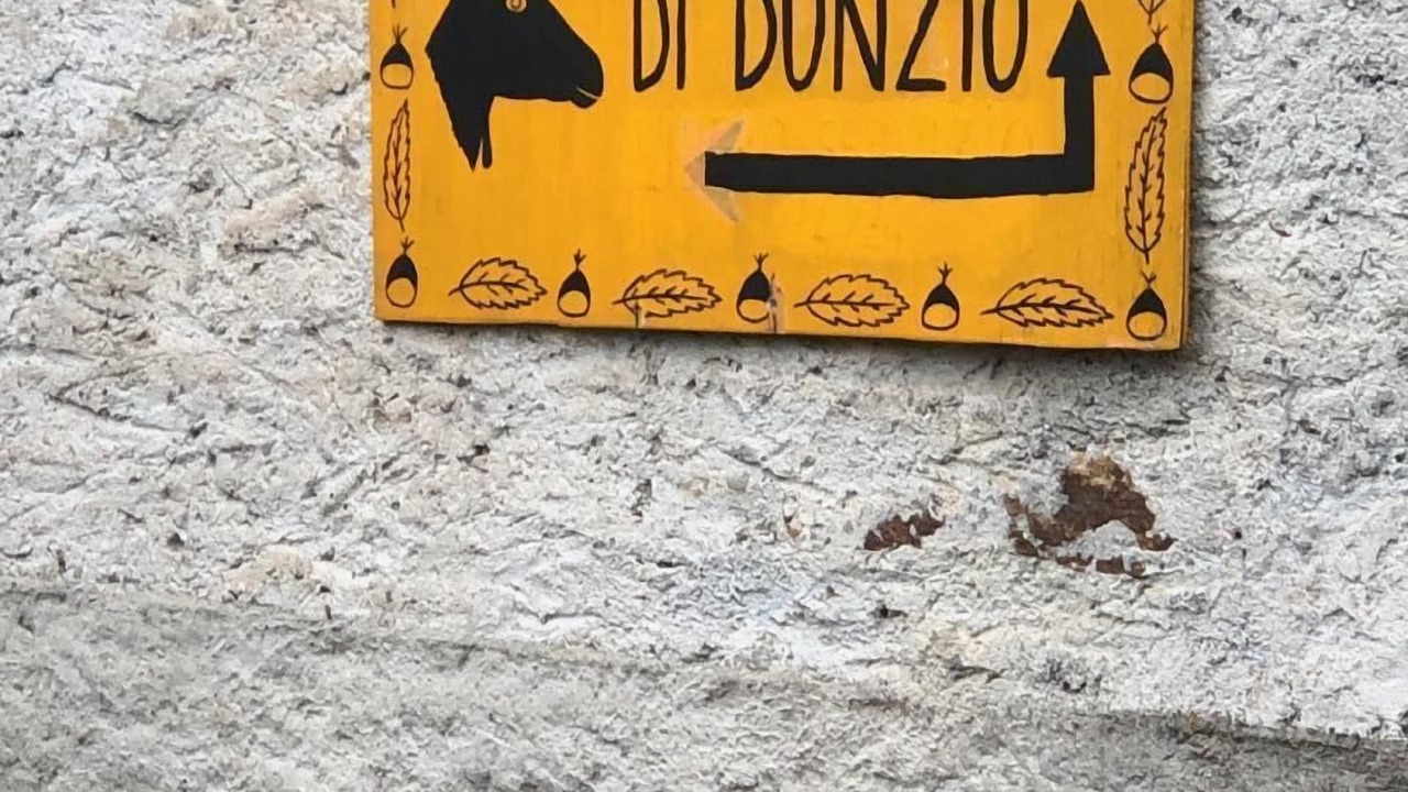 Photo of Others in Aurigeno