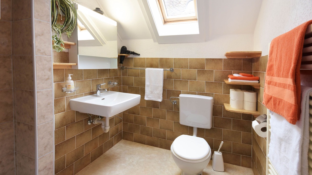 Photo of Bathroom in Steckborn