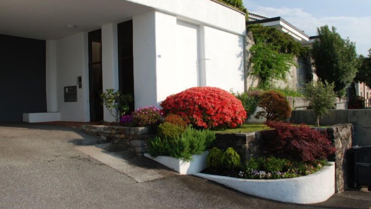 Photo of Others in Brissago