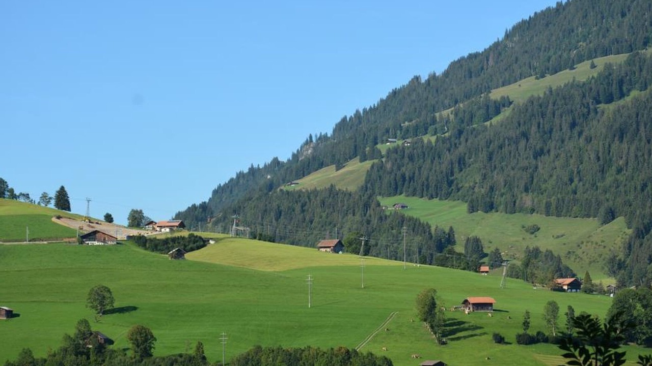 Photo of Others in Zweisimmen