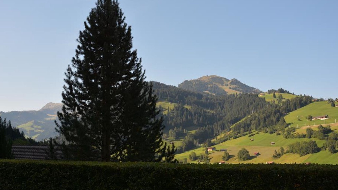 Photo of Others in Zweisimmen