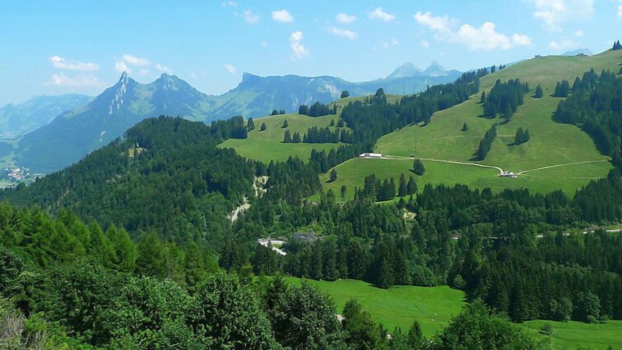 Photo of Others in Moleson