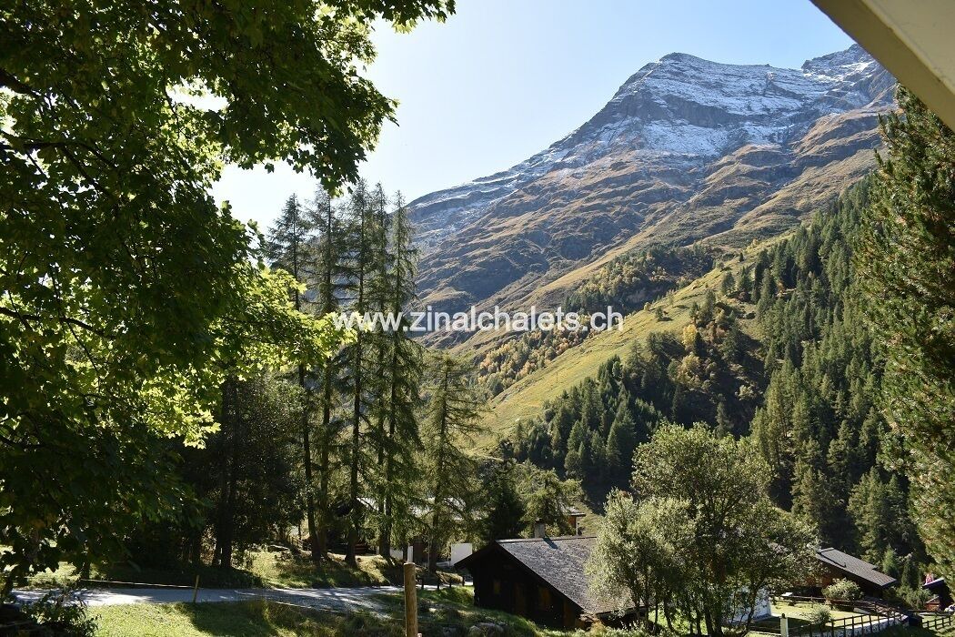 Photo of Outdoor in Zinal