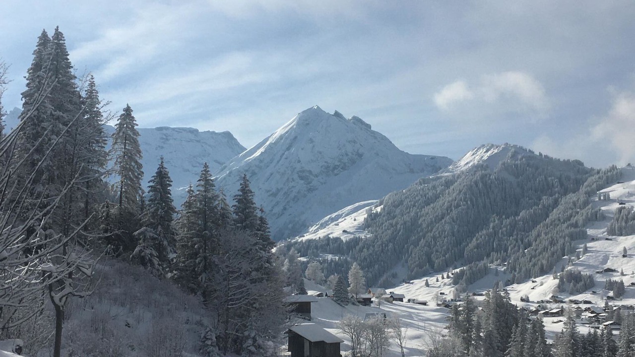 Photo of Others in Adelboden