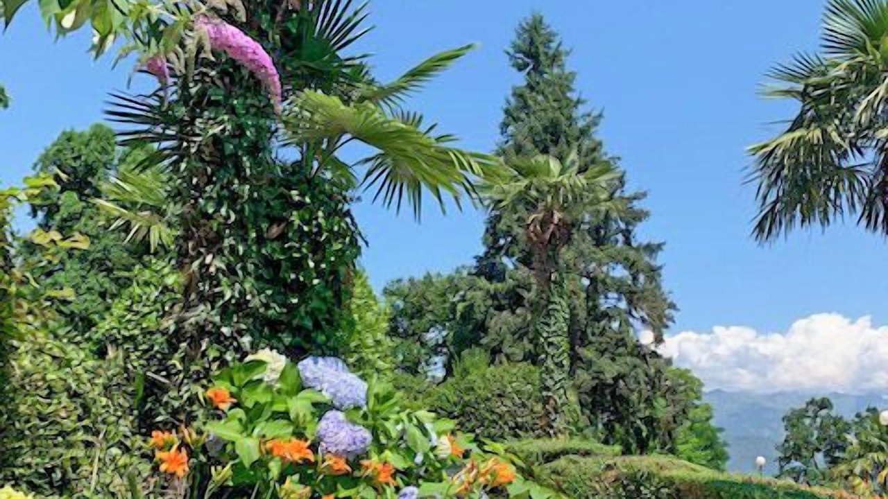 Photo of Outdoor in Carciano
