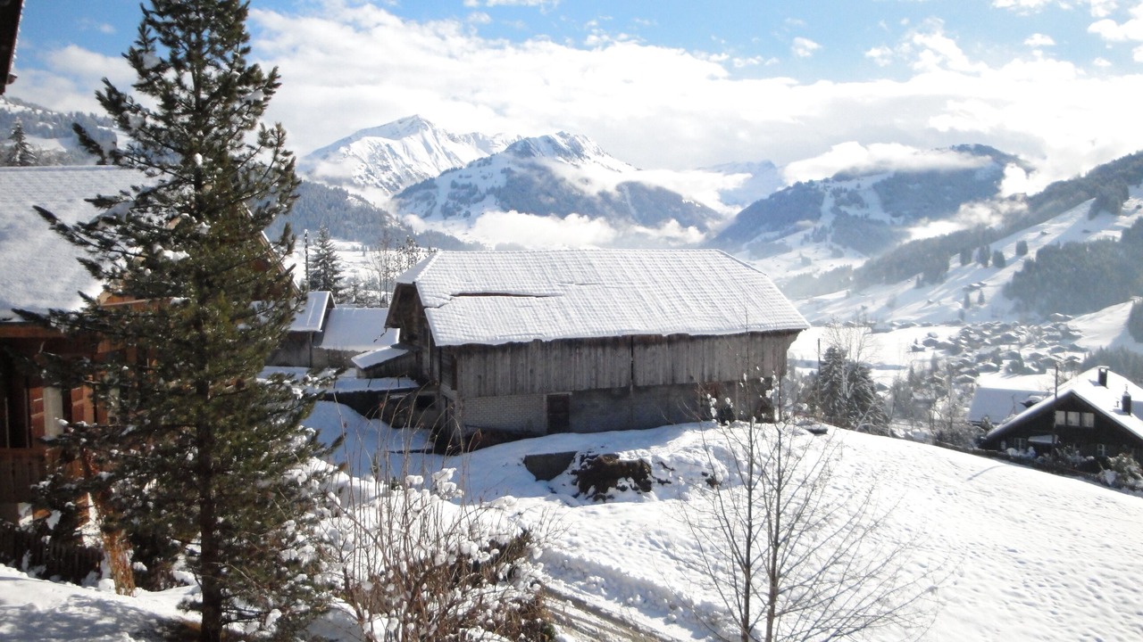 Photo of Outdoor in Saanen