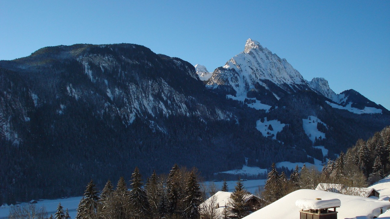 Photo of Others in Saanen