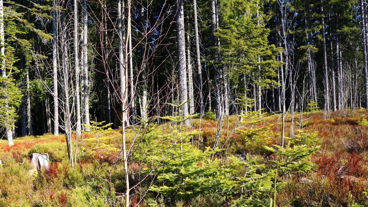 Photo of Outdoor in Bulle