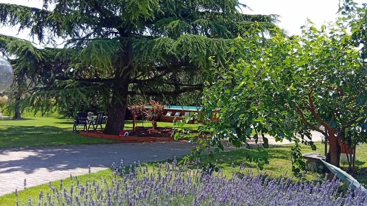 Photo of Outdoor in Roe Volciano