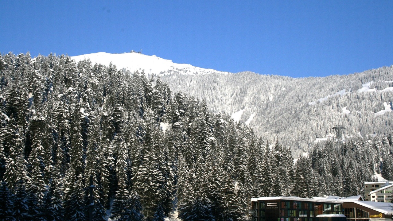 Photo of Others in Laax