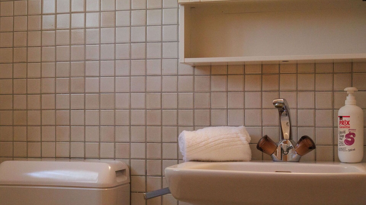 Photo of Bathroom in Zinal
