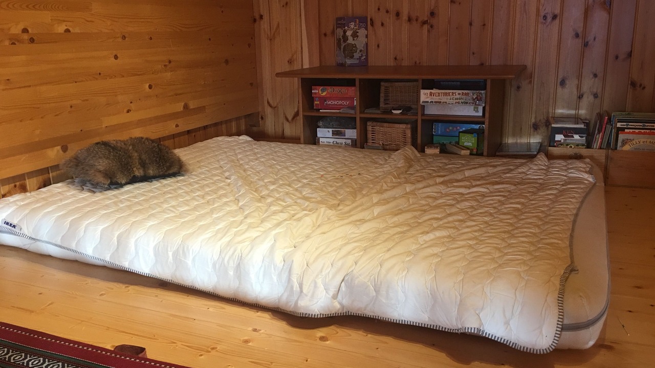 Photo of Bedroom in Vex