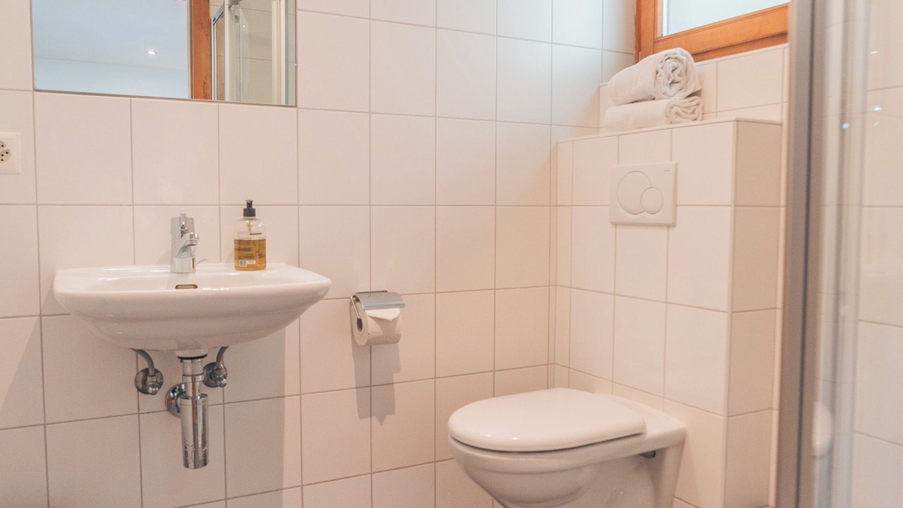Photo of Bathroom in Nendaz