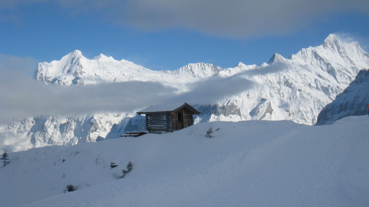 Photo of Others in Grindelwald