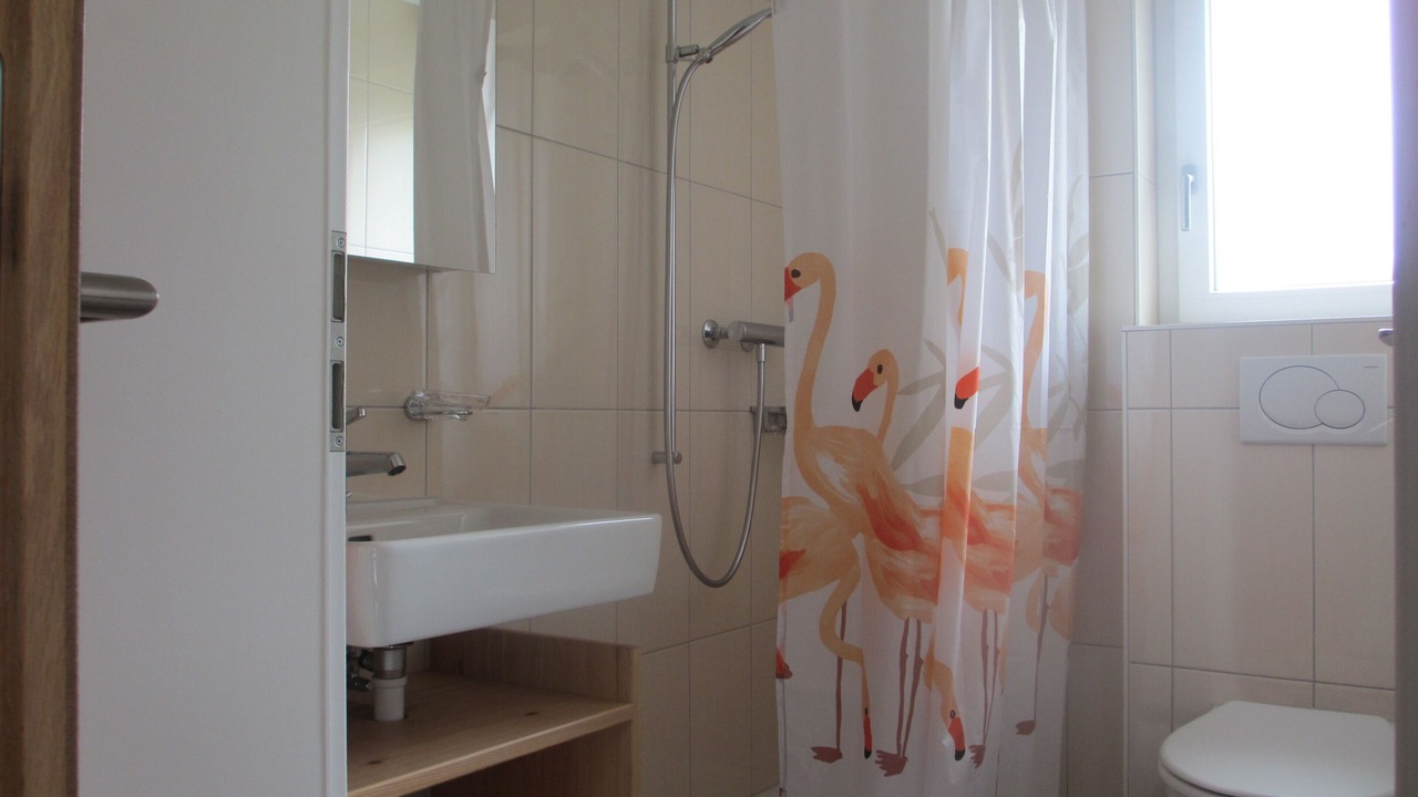 Photo of Bathroom in Grindelwald